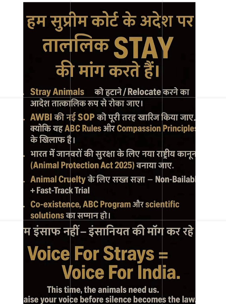 save street dogs🙏 they innocent and they are friends❤️
#voiceforstraysindia