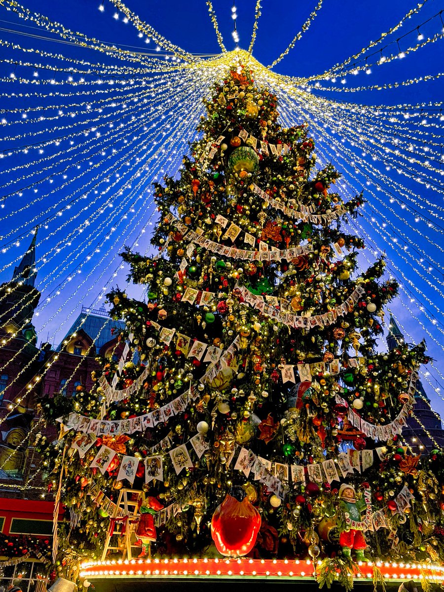 PEKHTography's tweet image. Childhood: tree felt infinite. 
Adulthood: calculating ornament weight distribution and fire hazard probability. 
Blue sky stayed perfect tho 💙🎄 
#Christmas #ChristmasTree #ChristmasLights #MagicMoments