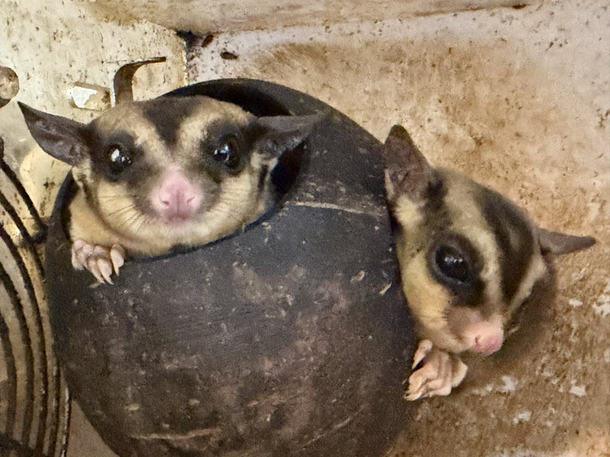 お疲れ様 さぁー 帰ります