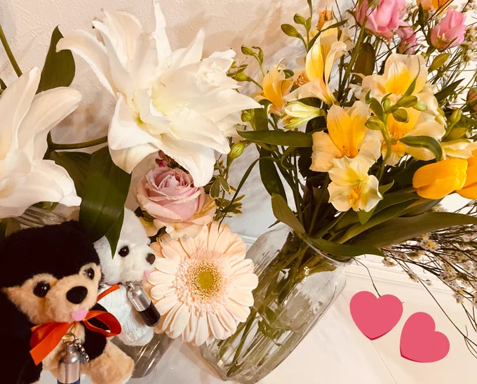 お花をたくさん買いました 今日も愛犬のこと聞いて下さる人もいたし犬友さんにも会えてチワワちゃん触らせてもらった…やっぱりインヌが可愛い〜///// お花から癒しを頂きましょう