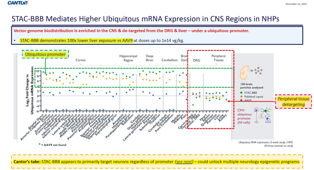 BiotechAnalysst's tweet image. $SGMO Cantor
Deep Dive: Blood-Brain Barrier Crossing Technologies"

STAC-BBB 700x higher expr. vs AAV9
100x lower liver exposure vs AAV9

Cantor take $SGMO STAC-BBB appears to primarily target neurons regardless of promoter 
could unlock #multiple neurology #epigenetic programs