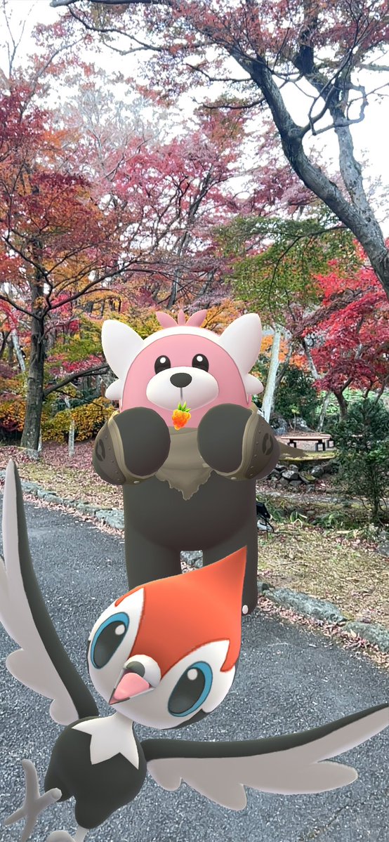 tama☆彡ページです＊ X HYPERSONIC X | X TAMAMO X | Lost Frog Productions