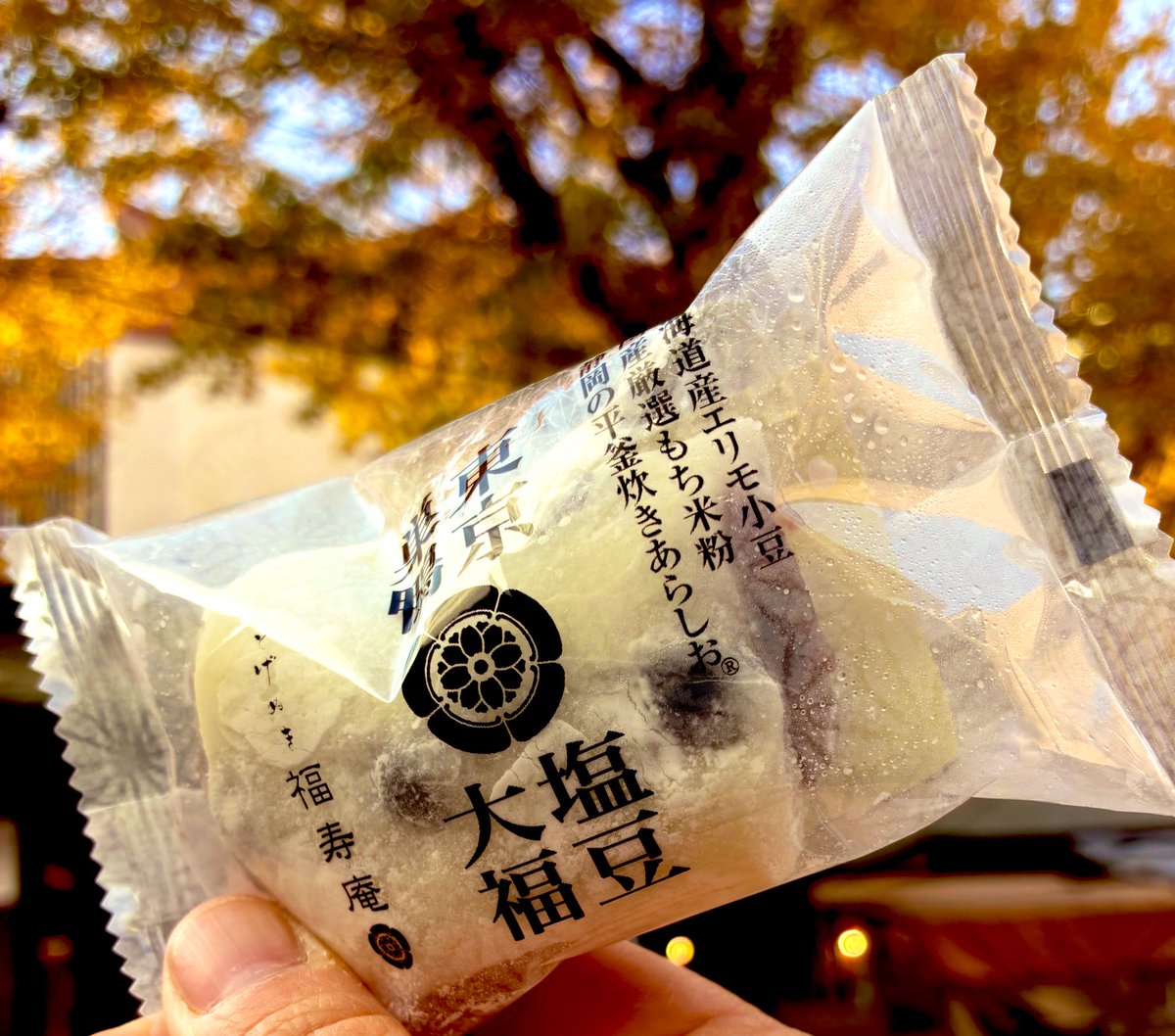 たまねこ (@tamanohitori) / Posts / X