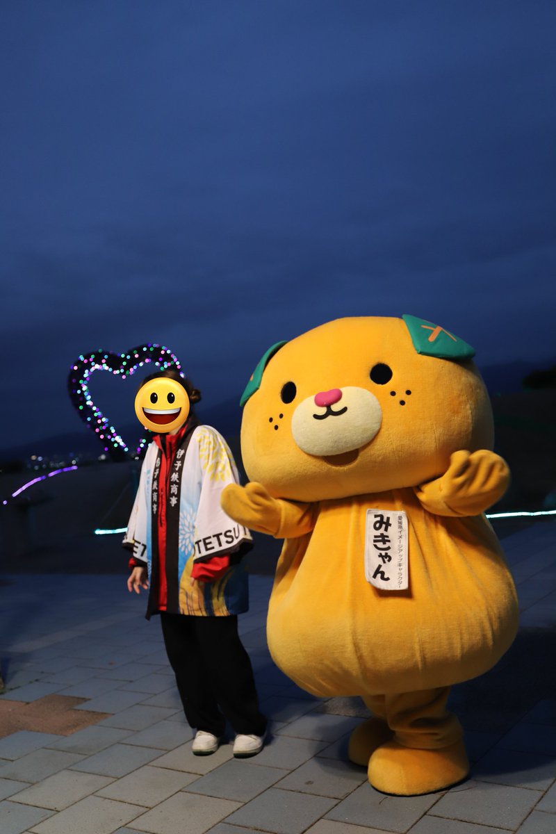 みきゃん様 楽天市場】スポーツジャケット みきゃん #00061 : ねっこの福や