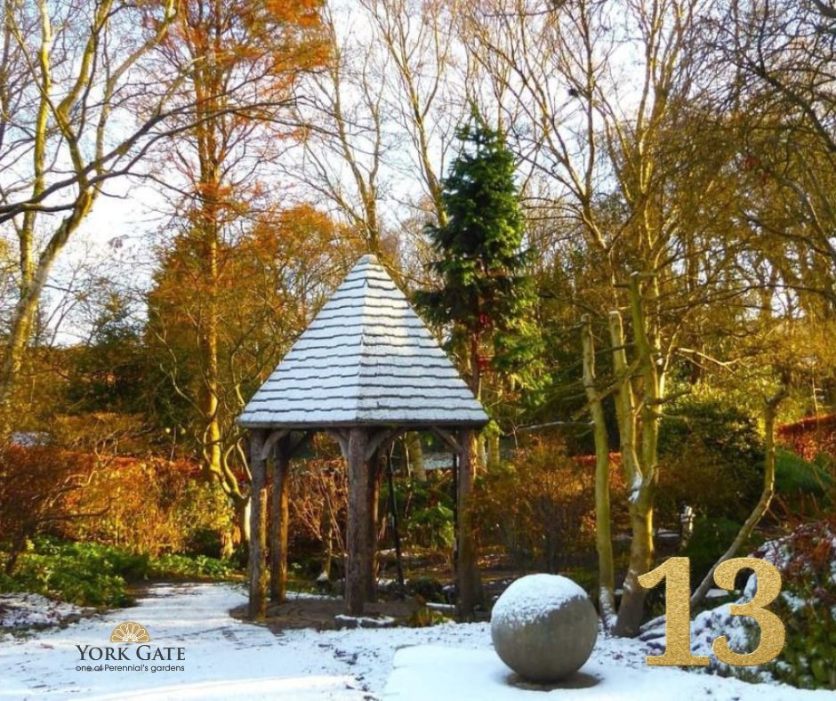 PerennialGRBS's tweet image. ✨13
We’re celebrating our @YorkGateGarden, named in the 2025 @Tripadvisor Travellers’ Choice Awards and placed among the top 10% of attractions worldwide.

York Gate will also become an #RHSPartnerGarden in 2026 🙌

Feb snowdrop dates: perennial.org.uk/gardens/garden…

#PerennialsGardens