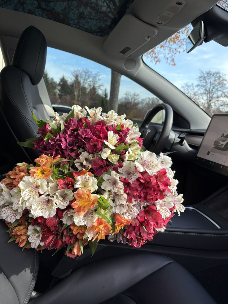 𝓣𝓱𝓮𝓑𝓵𝓸𝓼𝓼𝓸𝓶𝓢𝓽𝓾𝓭𝓲𝓸 (@phollukidukaan) on Twitter photo 