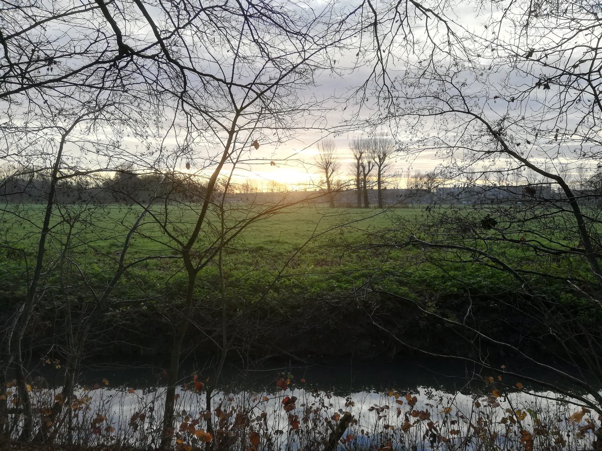 Good morning, a beautiful morning🏃🏻‍♀️ after cloudy days. Have a wonderful weekend 😃#december #running #Saturday #SaturdayVibes #saturdaymorning #MentalHealth