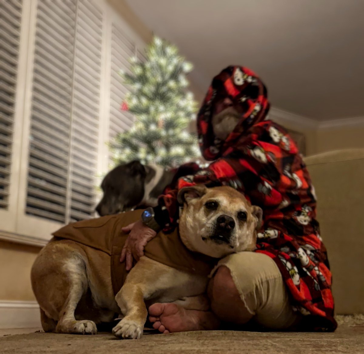 NeilSearsII's tweet image. I already have everything I want for Christmas. Ok well maybe my barber can sit on my cock but other than that, everything!