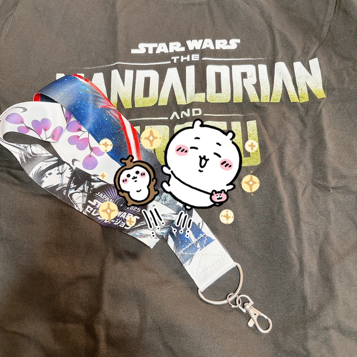 yoh_dayo's tweet photo. #SWAJ  通販届いたー！早い🐾 https://t.co/q2HjrKu5pF