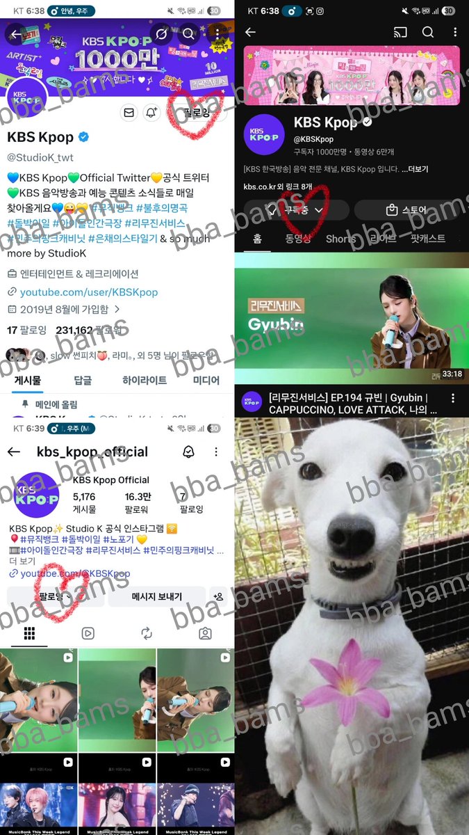 광청 tweet media
