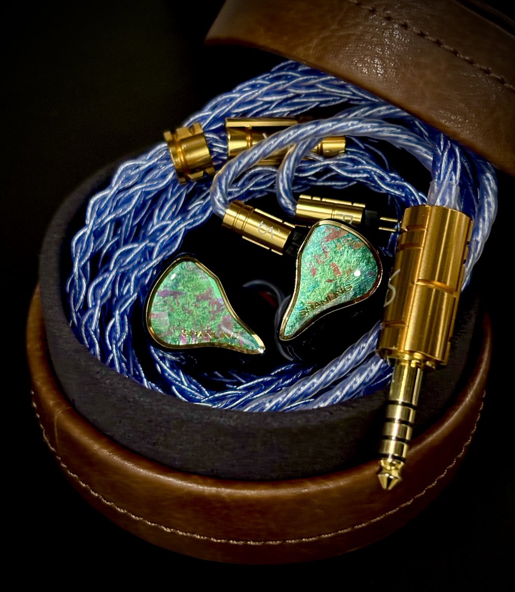 repotaode's tweet image. 改めて…MNG!
Shanling Regal 
Beat Audio Silversonic MKVII 8-wire
美しい…