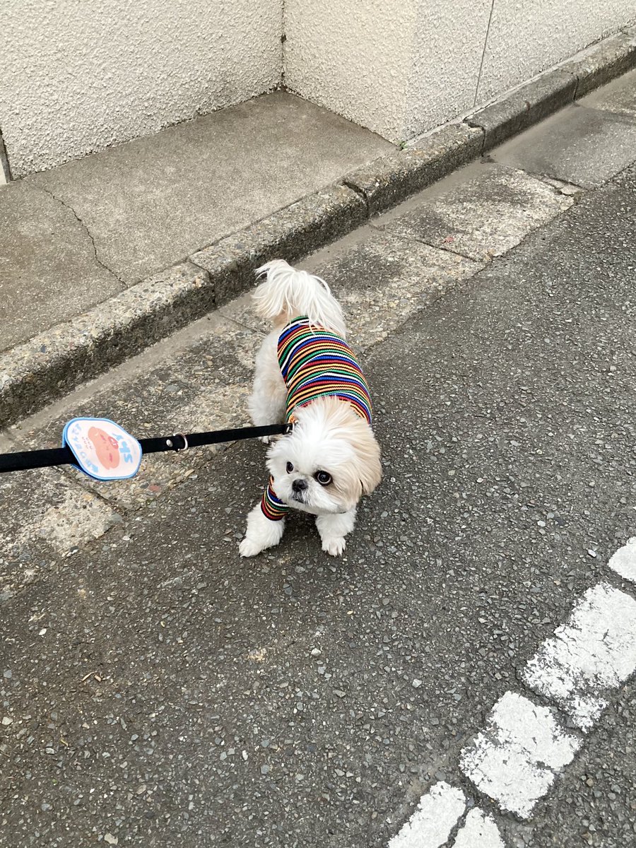 やるぞ、いいのか、の顔