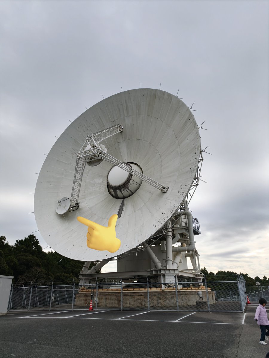 勝浦は子株でパラボラアンテナを増殖させることが可能と…🌱φ(・ω・ )