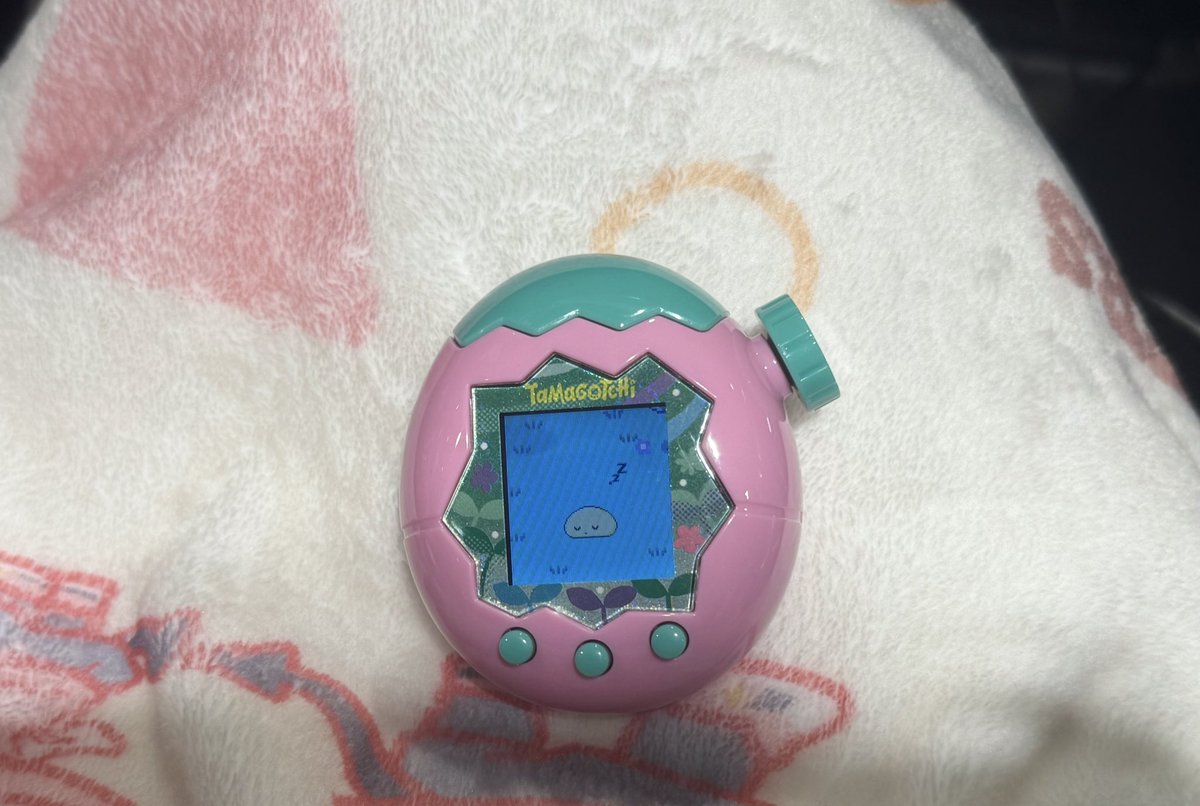 たまごっち始めました😸🎶