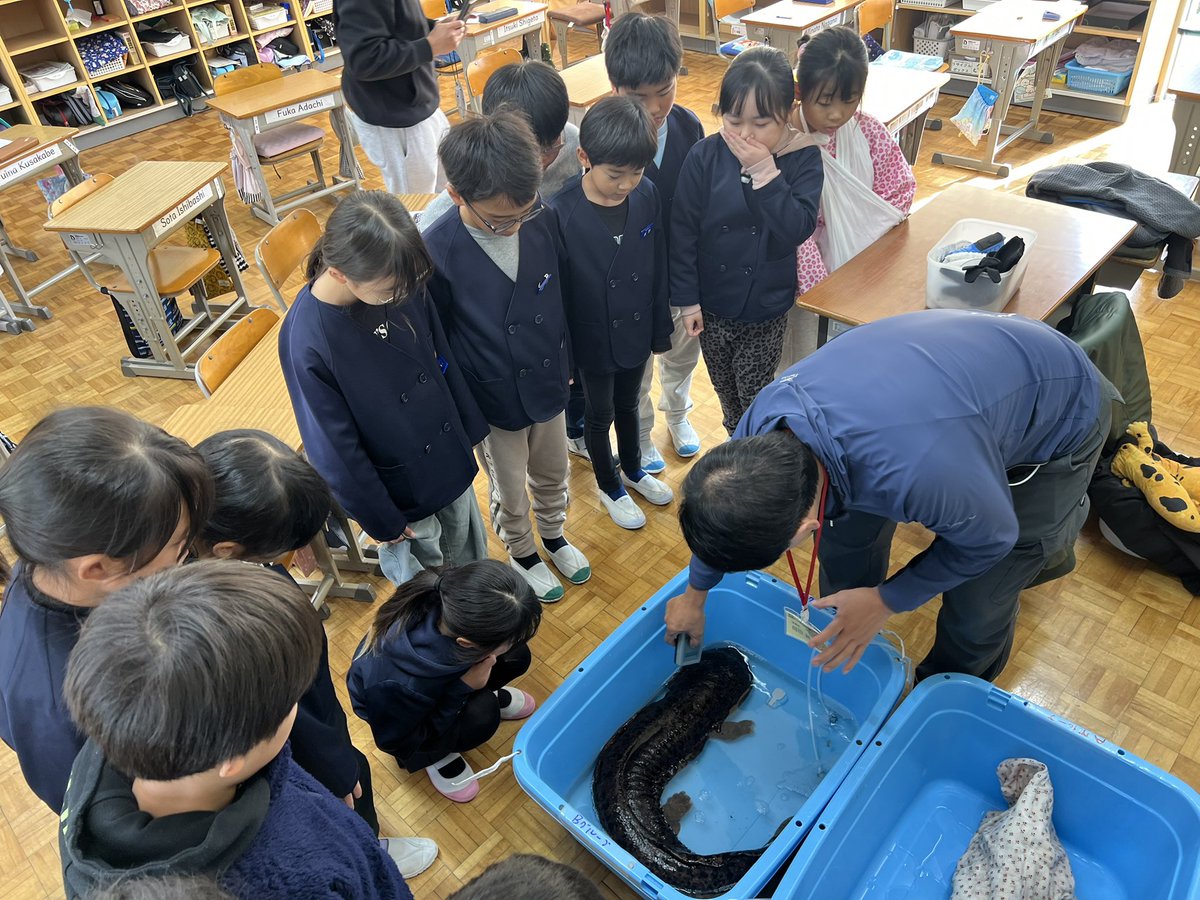 NPO法人日本ハンザキ研究所【公式】 (@NPO_hanzaki_H20) / Posts / X