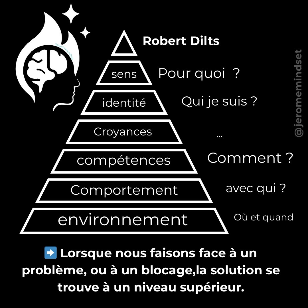Je ne trouvais pas ma solution dans mon environnement. Alors j’ai ajusté mon comportement, 
puis mes compétences,  Je me suis donc confronté à mes valeurs et croyances, parfois limitantes.
J’ai redéfini mon identité, pour me voir autrement.
Et c’est là que tout peut avoir du sens