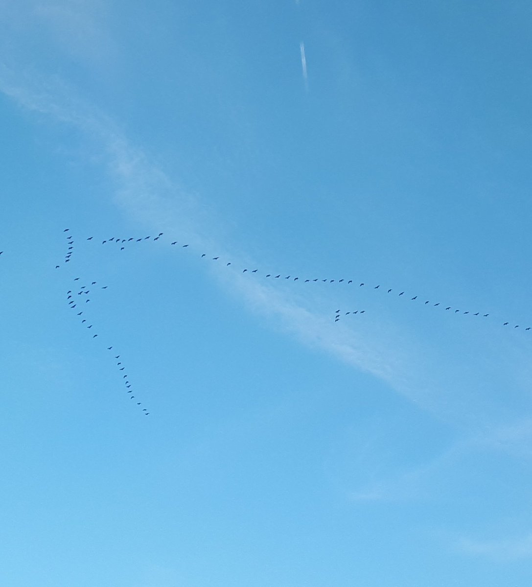 Haal de schaatsen maar uit het vet!