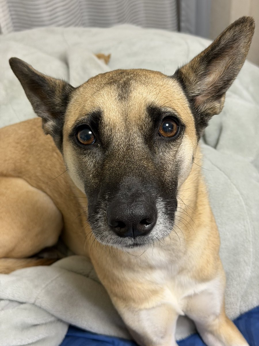 これが普通のぐっちゃす