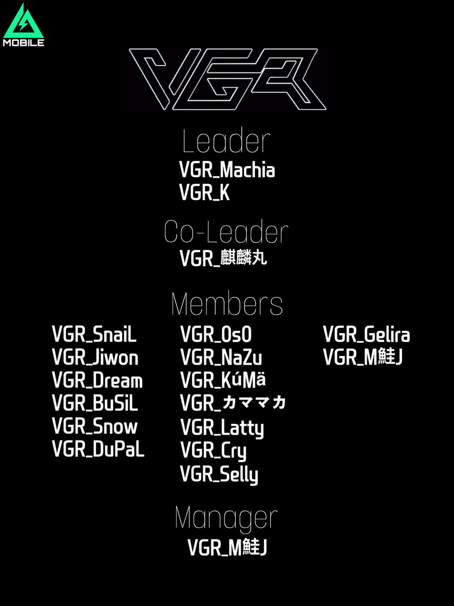 Team VGR tweet media