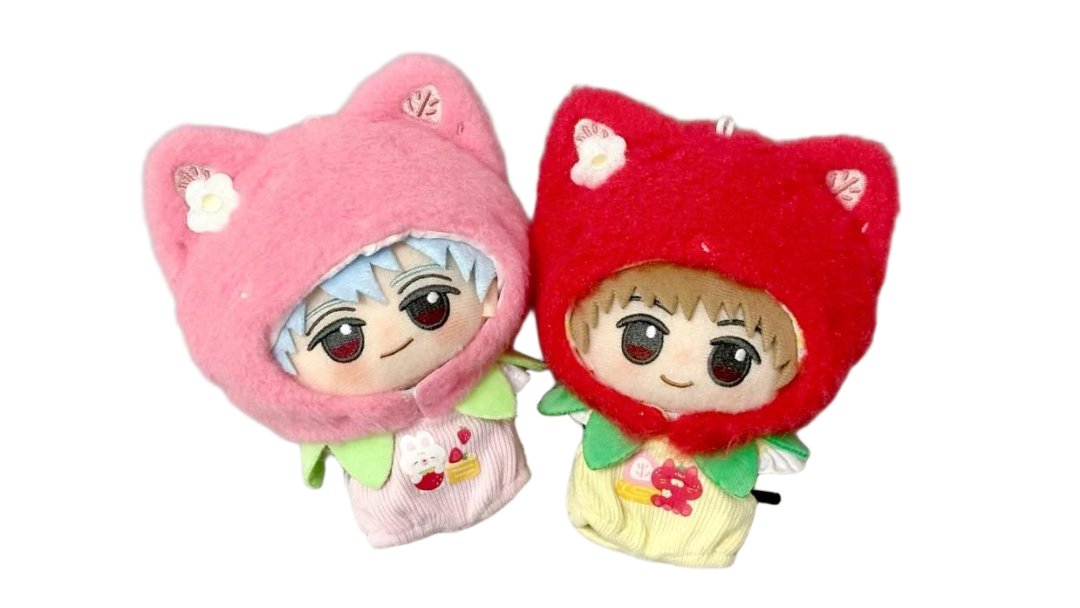 candymoonぬい服専用アカウント (@aimelo818) / Posts / X