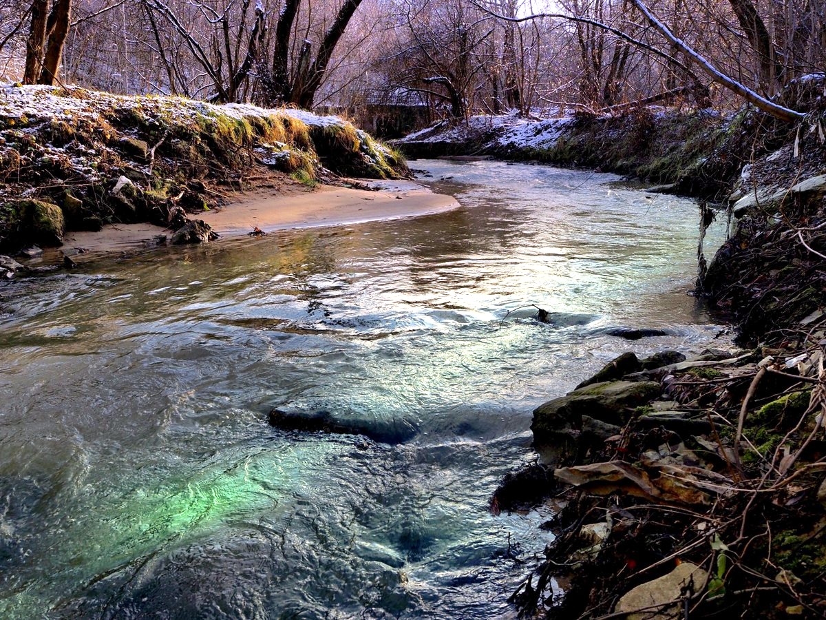 PEKHTography's tweet image. Autumn and winter share the same breath here—
neither winning, neither leaving, 
just two truths standing in emerald-shining water holding hands. 
Someone tell them the water's cold? 🍁❄️🤝 
#NaturePhotography #ForestStream #Peace