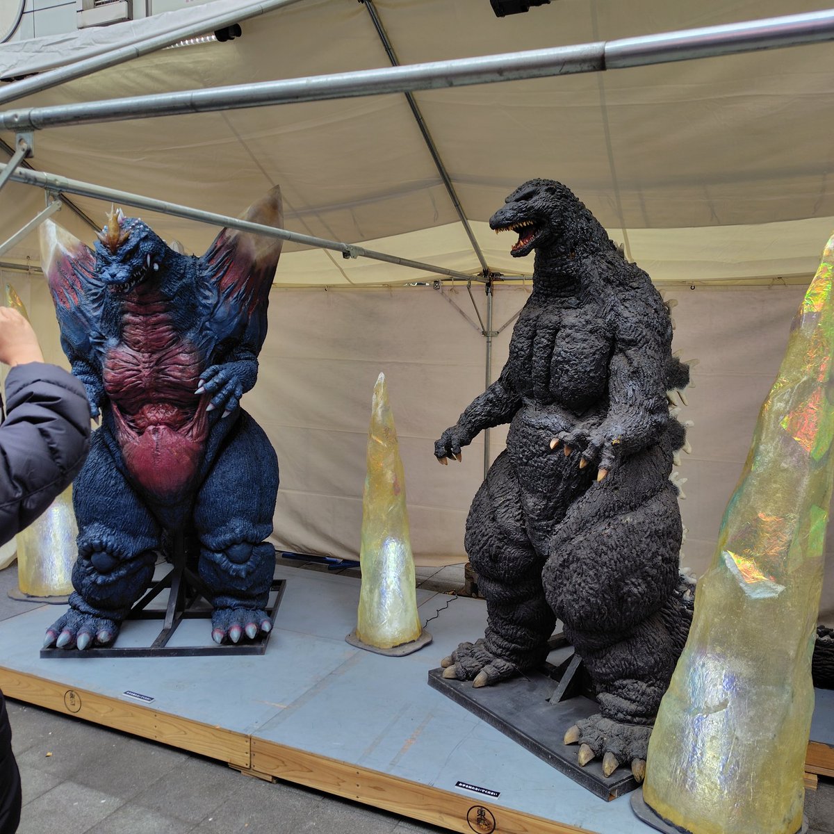 yoshizumi_ken's tweet photo. ゴジラ新宿区観光特使就任１０周年
東宝の人気キャラクター に感謝状を発行しました

昔のゴジラの着ぐるみの展示には多くのファンが集まり、撮影をしていました

会場ではゴジラカードを配布し、１５日からは特別出張所で��配布します
#ゴジラ　#吉住健一　#新宿区長 https://t.co/Yf04vC081O