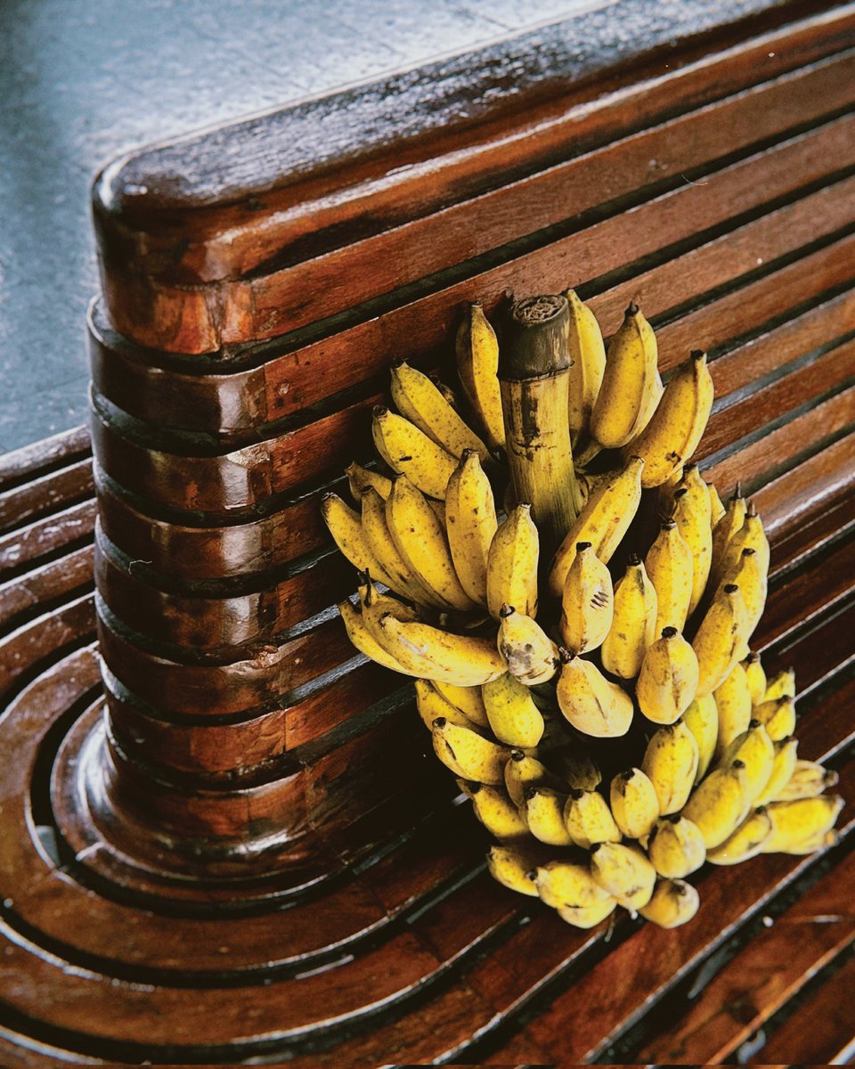 PANIA Celebration: white tank top energy meets black patent leather. Tropical abundance. Station aesthetic. A collection that proves celebration is an attitude—refined, playful, undeniably cool

#CelebrationPania
#CelebrationCollection