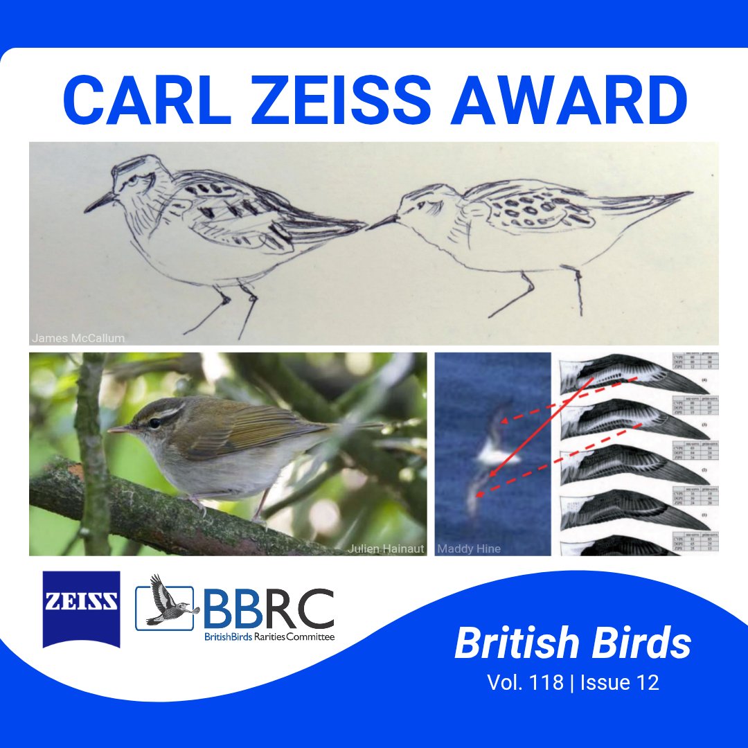 British Birds tweet media