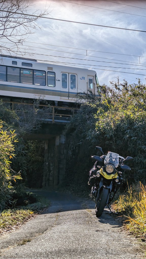 おみかん (@JurrieCherinka) / Posts / X