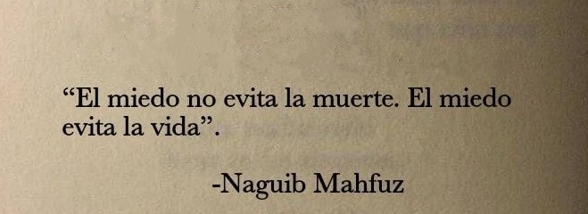 literland (@literlandweb1) on Twitter photo 