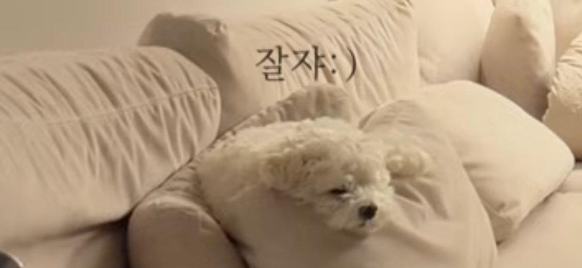 너무 예쁜 투샷💗