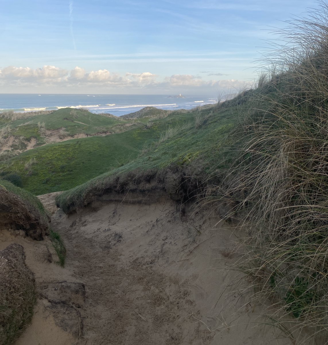 Paxmere..🕷️🏴‍☠️ 🐝🌹〓〓 🏴󠁧󠁢󠁥󠁮󠁧󠁿🇪🇺🦋 tweet media