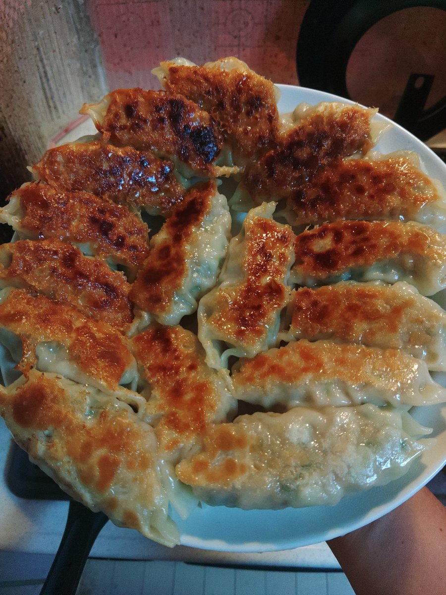 数週間ぶりのホーム焼き餃子 みっちみちに餡を詰めて焼く