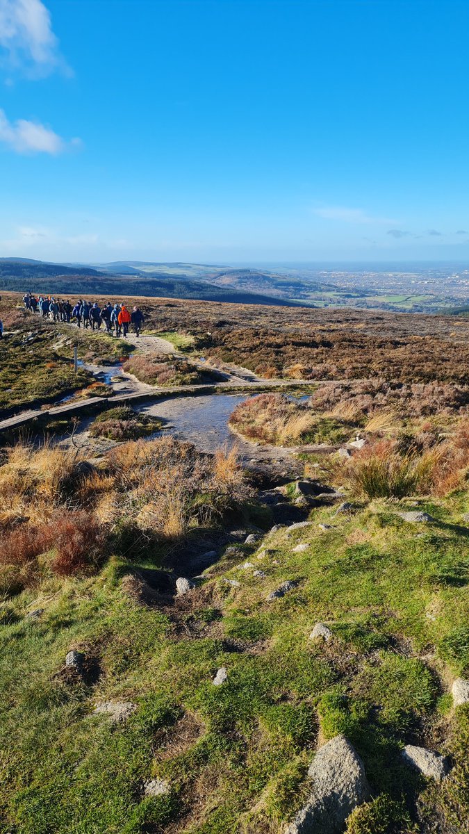 Sean Carthy tweet media