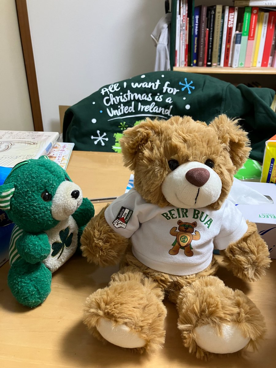 シン・フェインテディベア、ずっと売り切れてたのに今年のクリスマスに