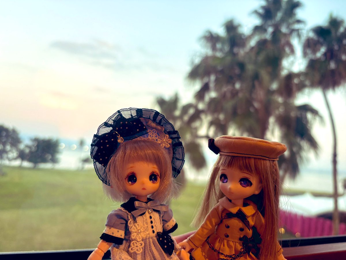 cg_uraniwa's tweet photo. 11月の旅行の写真を上げてませんでした🤔
猫島である相島や宮地嶽神社に行きました！猫島すごく楽しかったです！癒されました〜！✨✨
観光シーズン？で人が多くてなかなかラーナさん達と撮れなかったのが残念😣 https://t.co/9NPfGzjLvV