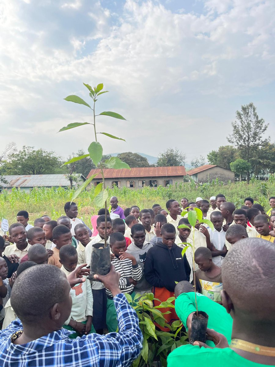JamesThembo_'s tweet photo. I am planning to start a #Birthday tree planting 🌴campaign. Every birthday represents #NewAge_NewLife. How about celebrating this new life by creating a new life for a Mother Nature 🌱 https://t.co/w7odS10SDx