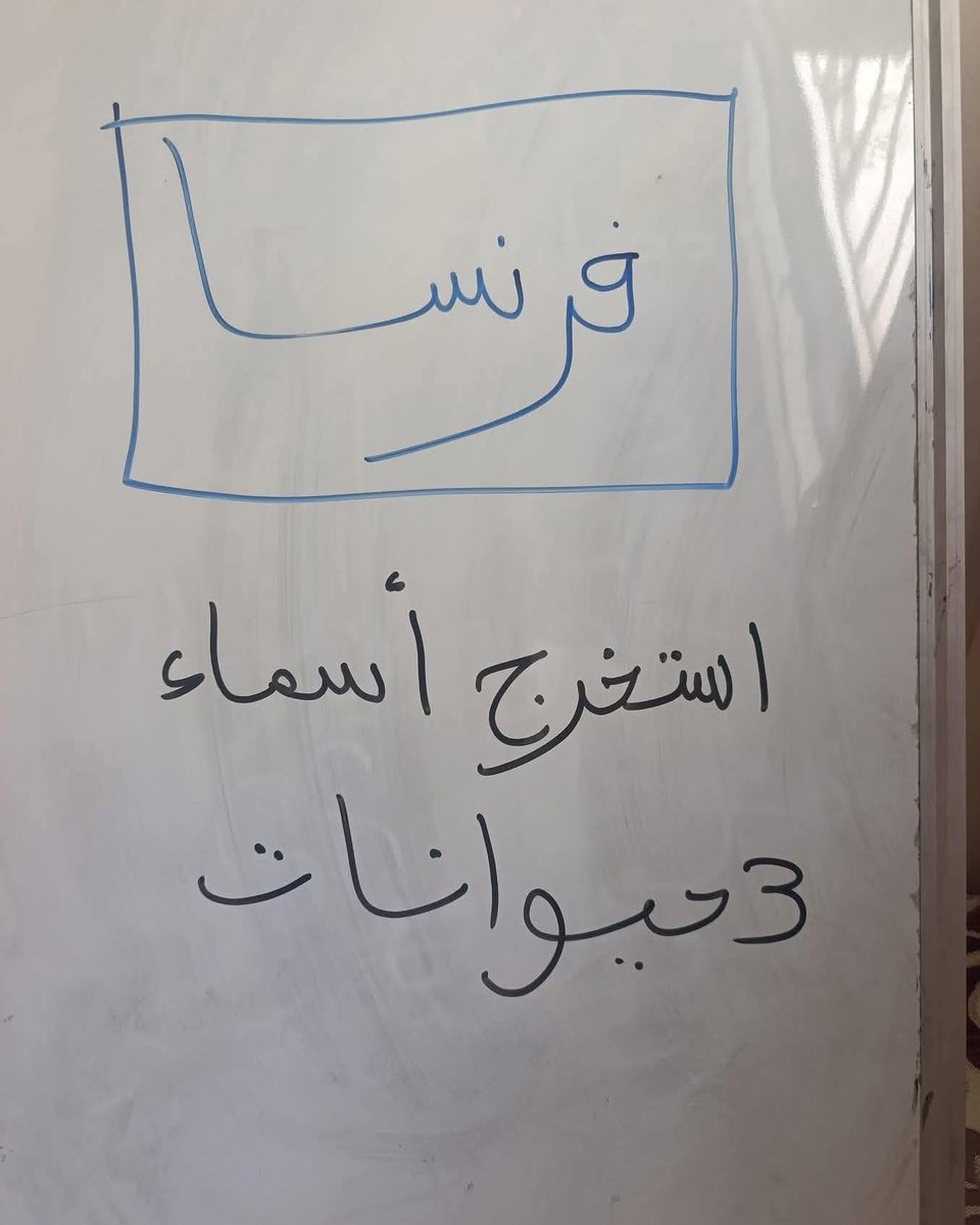 ekramyyounis1's tweet image. اين العباقرة