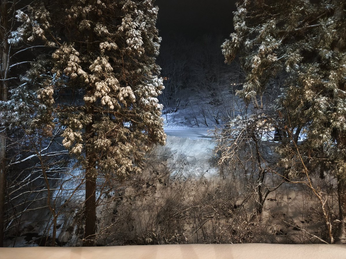 torikoshigro's tweet photo. しんしんと降る中浸かり雪見風呂 https://t.co/QOtfbXtl4V