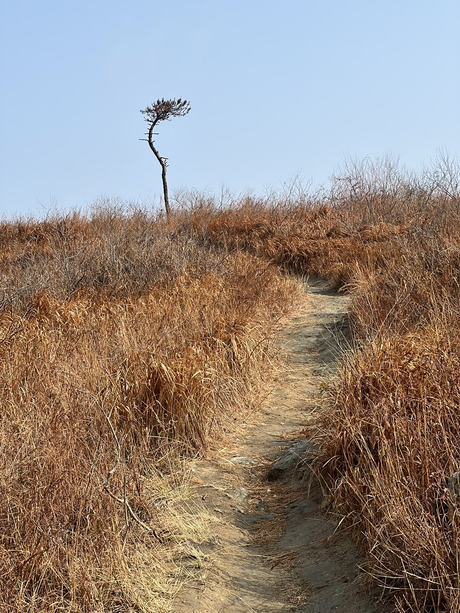 appiah's tweet image. 龙王尖