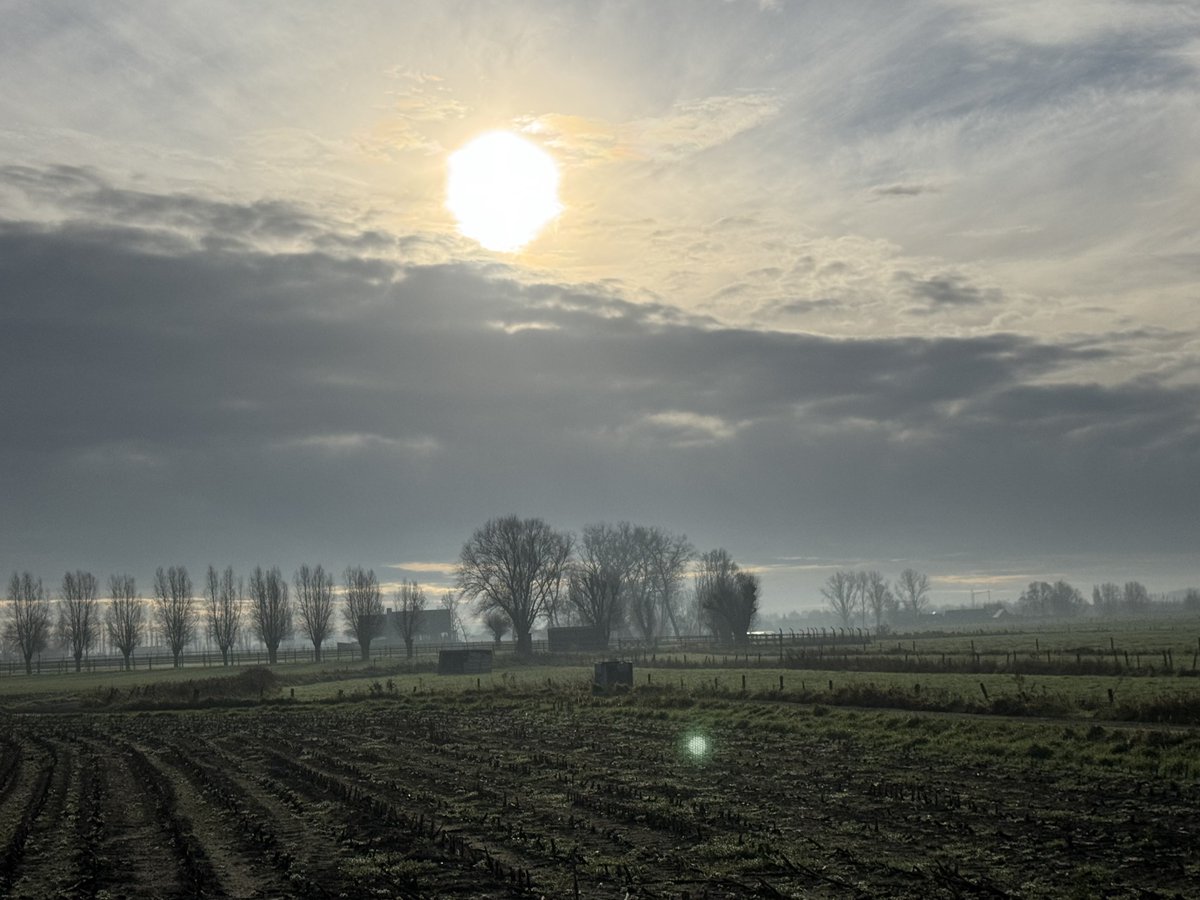 Goedemorgen!👟🙏☀️