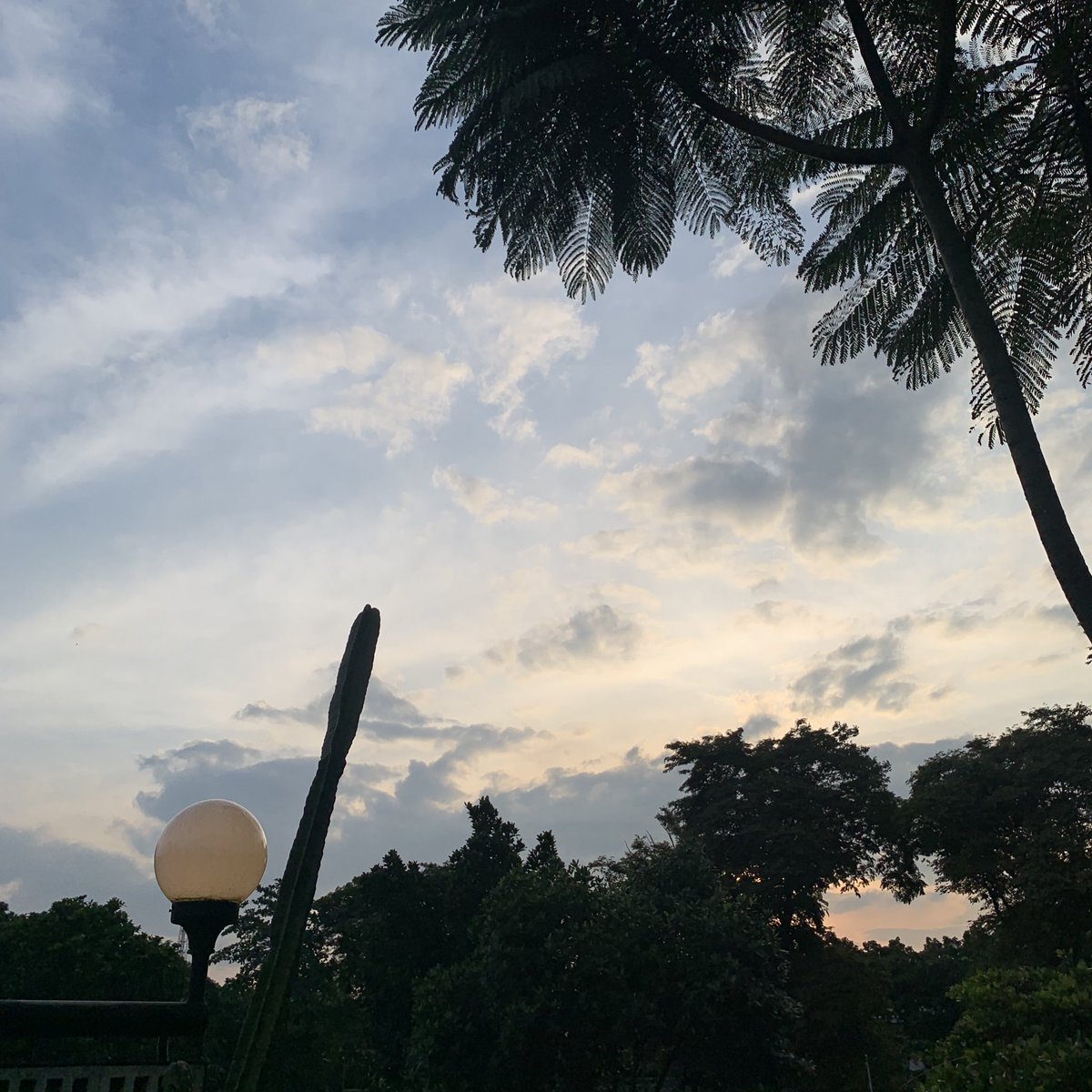 eteriao's tweet image. ⛅️🤍