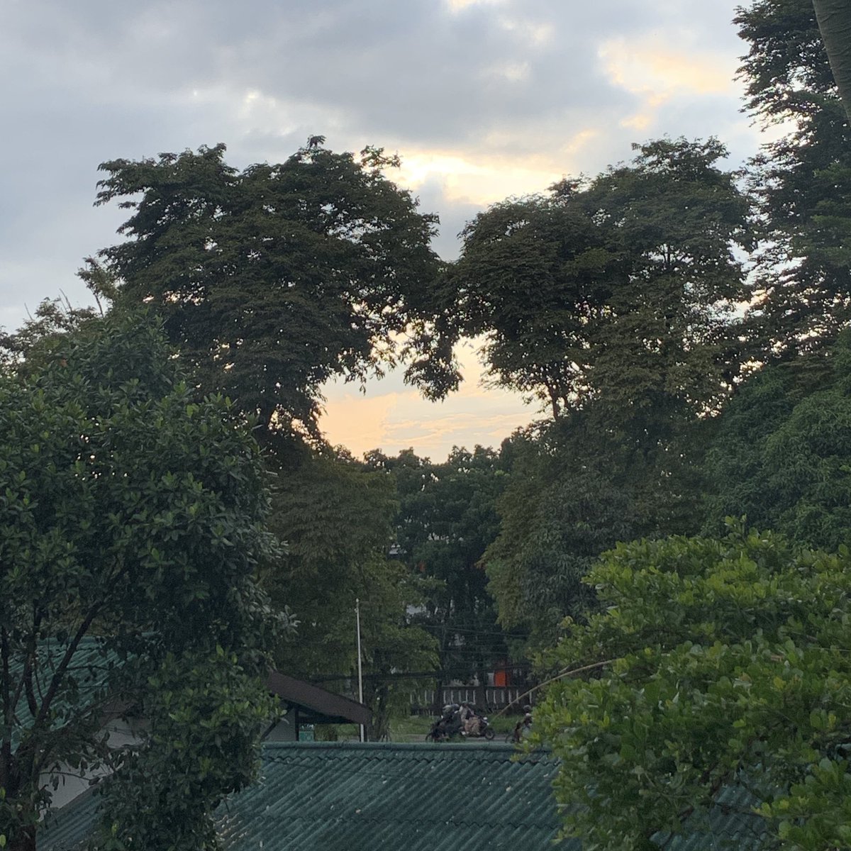 eteriao's tweet image. ⛅️🤍