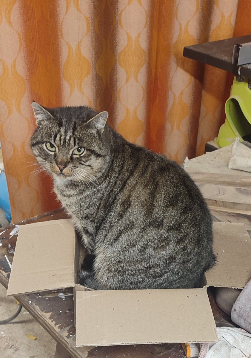 Невялічкая, за тое свая!