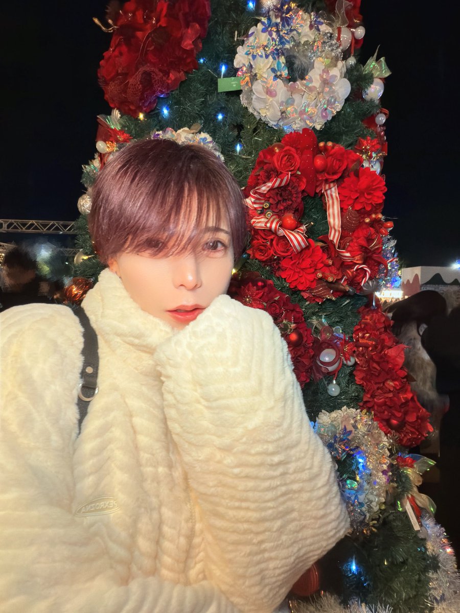 hlhr_umi's tweet photo. 🎄でかかった https://t.co/ElFm3sTpU9
