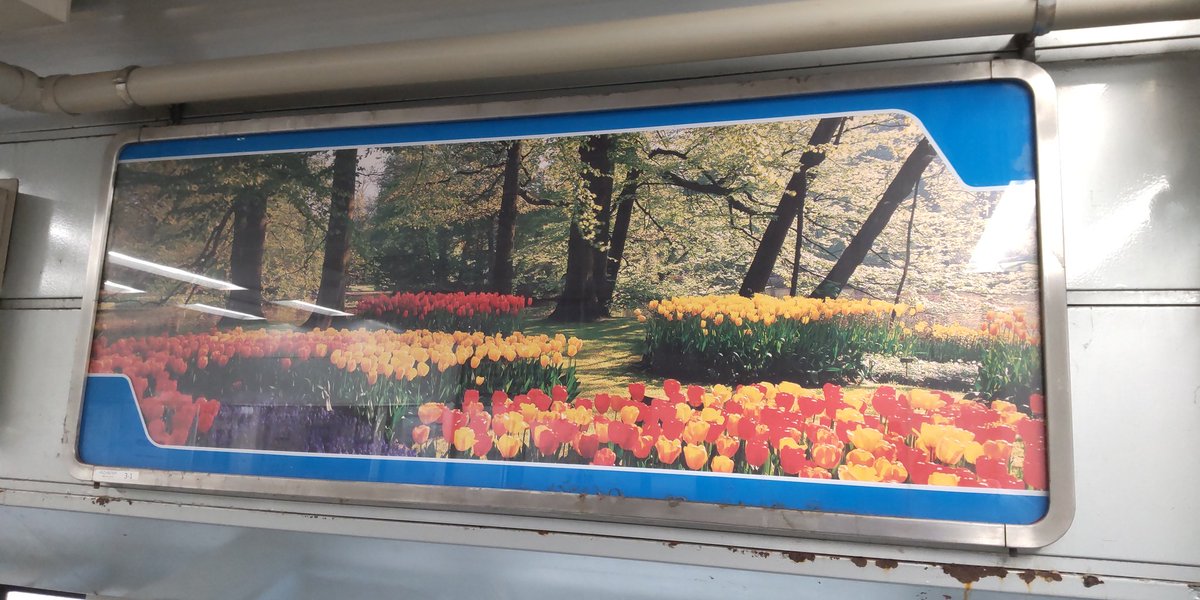 pitipitibeach1's tweet photo. 【まぁまぁ降りることのない駅に降りよう】
１平林駅(大阪メトロニュートラム線)
貯木場ってもう営業してないんかな。 https://t.co/wAsjKe5iWM