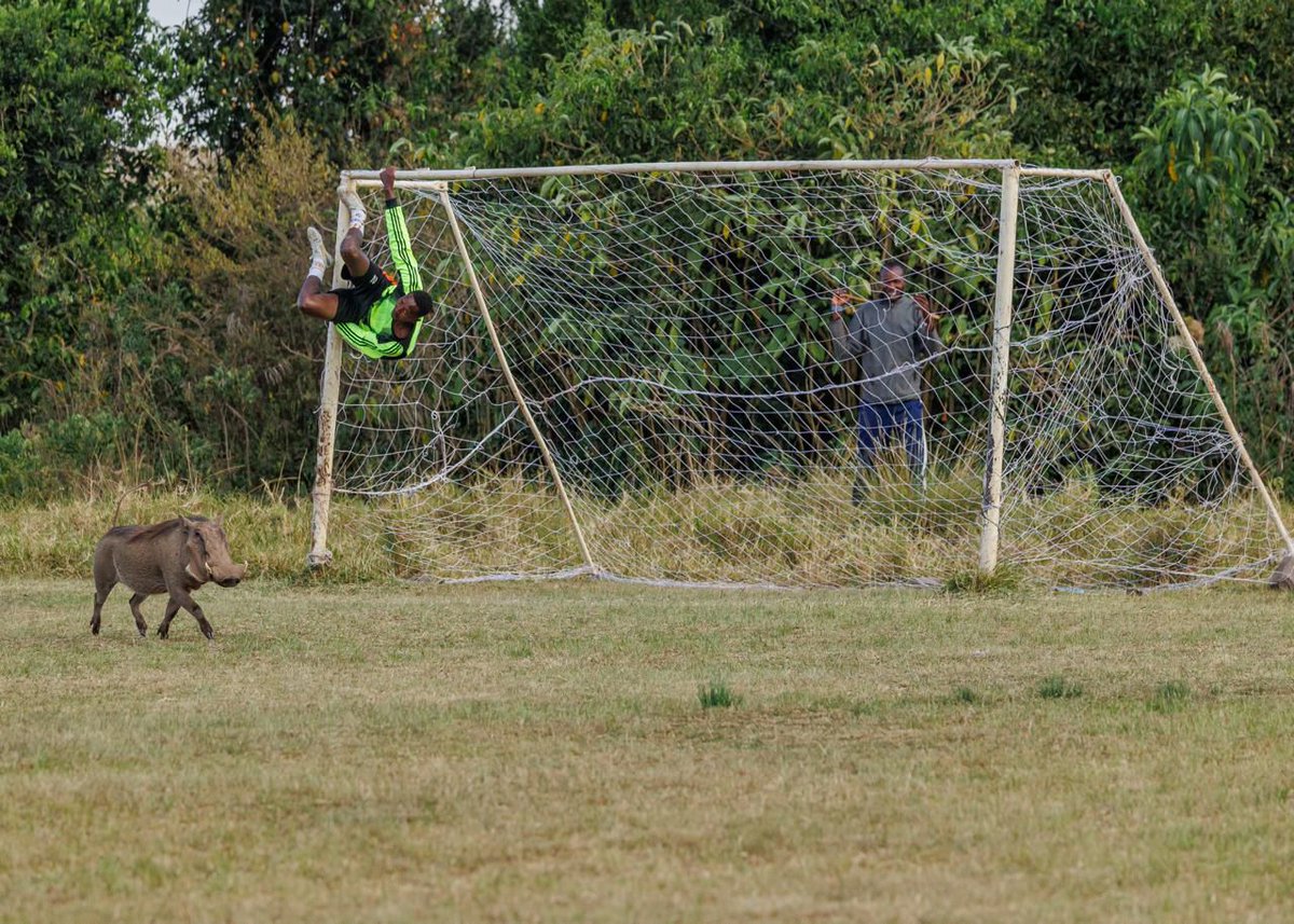 Carol Radull tweet media