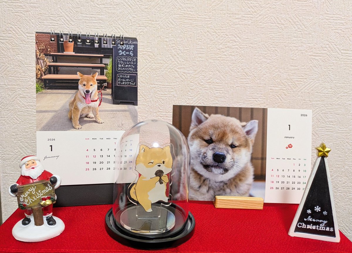 しばけん 芝 賢 Ken Shiba （しばけん） (@ken.shiba) • Threads, Say more