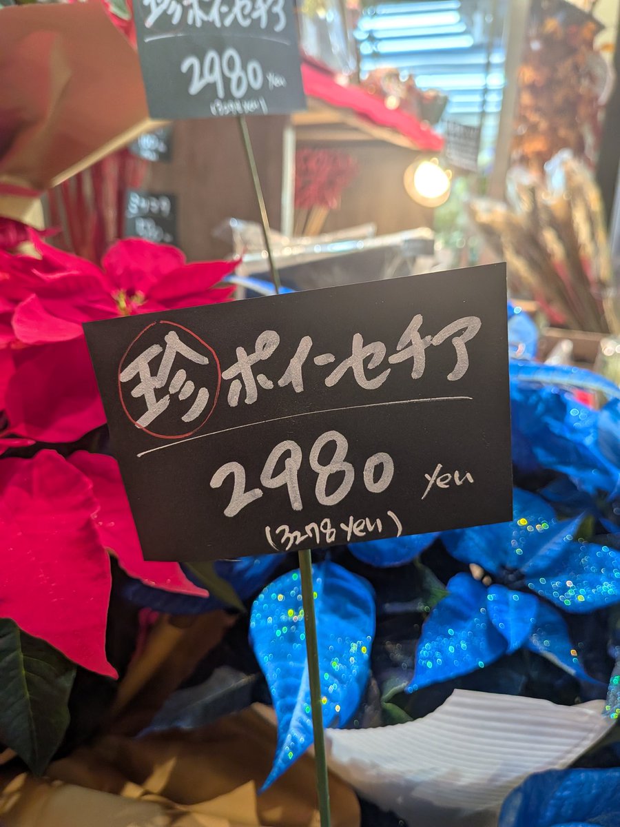 うめ (@_ume__) / Posts / X