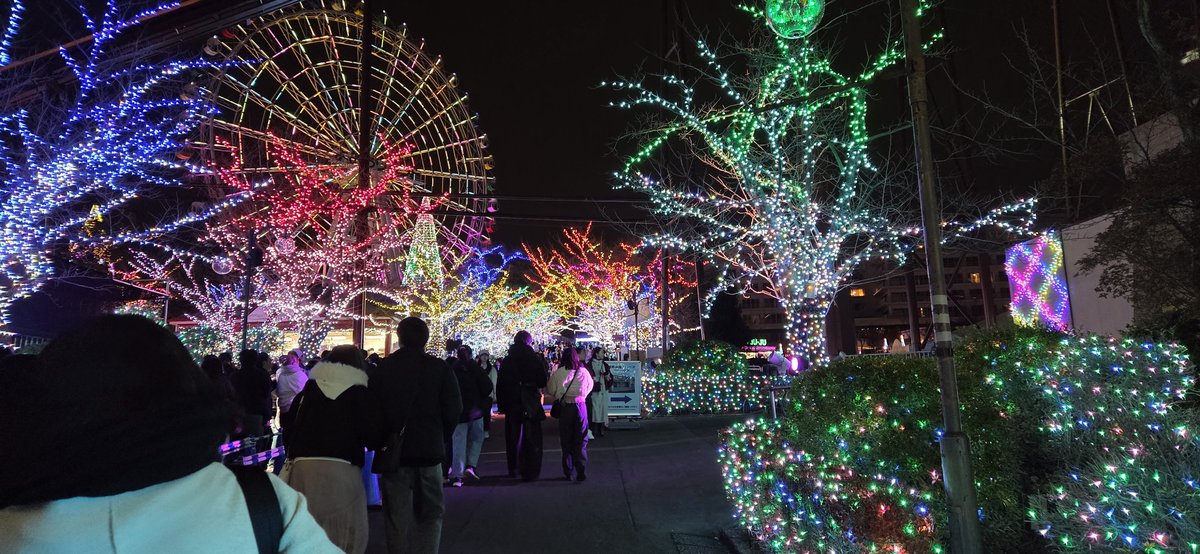 ﾐｰｻｰ tweet media